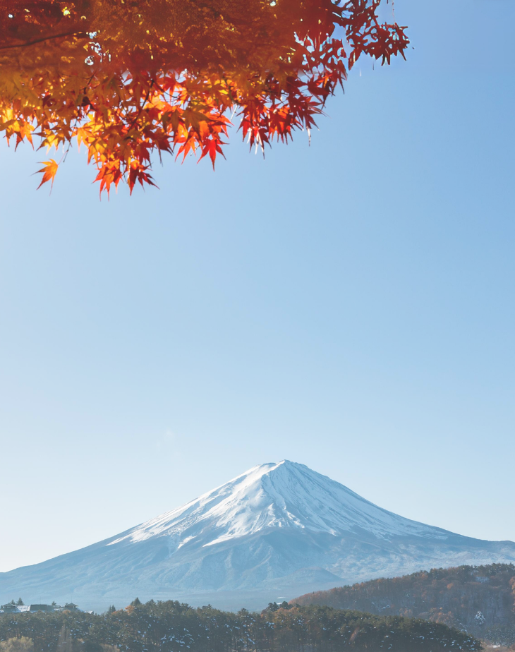 2024 Japan Maple Leaves Pre-Wedding Photoshoot Promotion