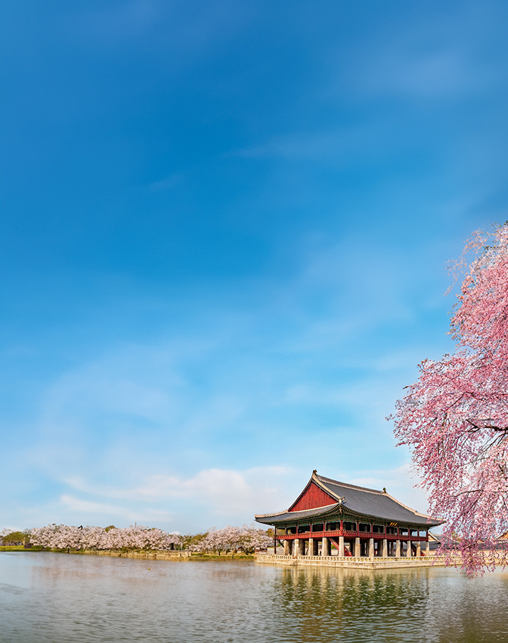 2025 Korea Cherry Blossoms Pre-Wedding Photoshoot Promotion