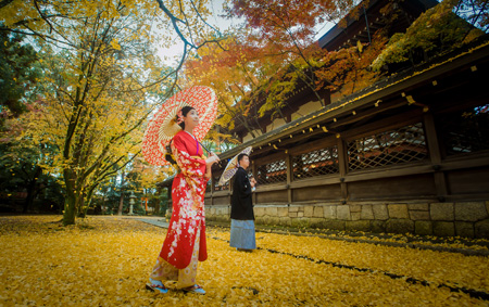 Japan Kyoto Autumn