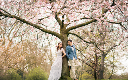 London Cherry Blossoms Season