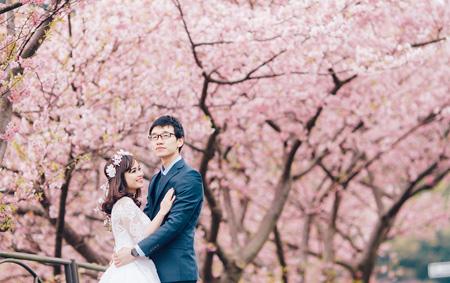 Tokyo Japan Cherry Blossoms Season